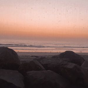 Meet your Posher, Simone